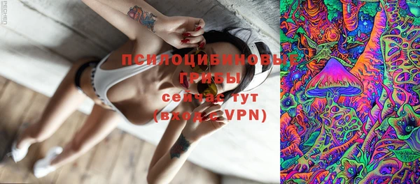 стаф Алексеевка