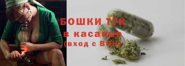 ПСИЛОЦИБИНОВЫЕ ГРИБЫ Алзамай