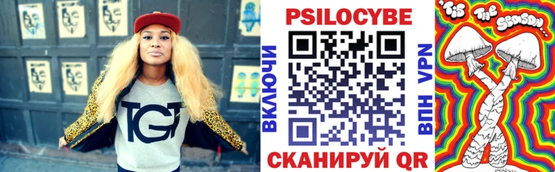 Псилоцибиновые грибы Psilocybe  Севастополь 