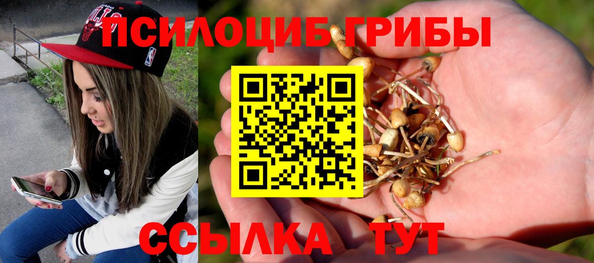 Псилоцибиновые грибы мухоморы Севастополь